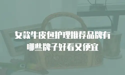女款牛皮包护理推荐品牌有哪些牌子好看又便宜