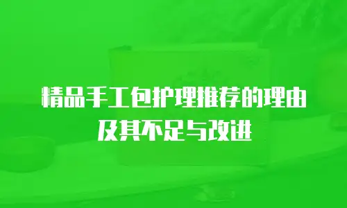 精品手工包护理推荐的理由及其不足与改进