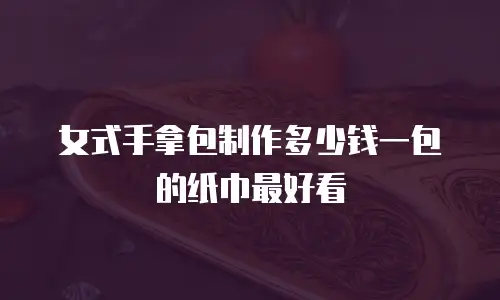 女式手拿包制作多少钱一包的纸巾最好看