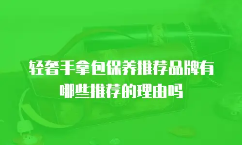 轻奢手拿包保养推荐品牌有哪些推荐的理由吗
