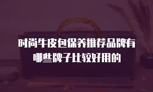 时尚牛皮包保养推荐品牌有哪些牌子比较好用的