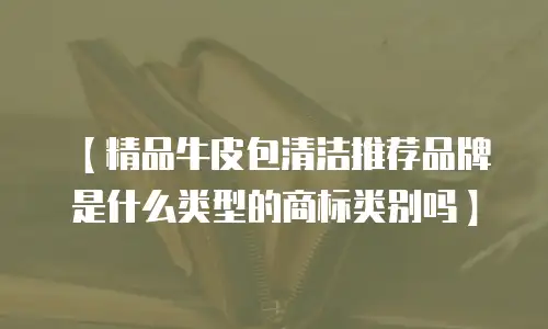 【精品牛皮包清洁推荐品牌是什么类型的商标类别吗】