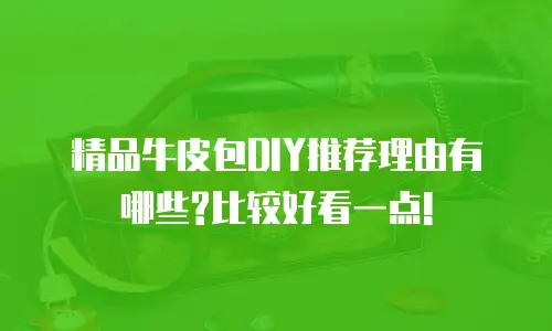精品牛皮包DIY推荐理由有哪些?比较好看一点!