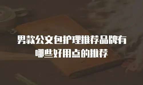 男款公文包护理推荐品牌有哪些好用点的推荐