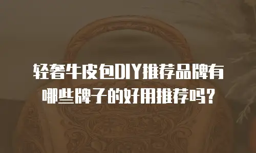 轻奢牛皮包DIY推荐品牌有哪些牌子的好用推荐吗？