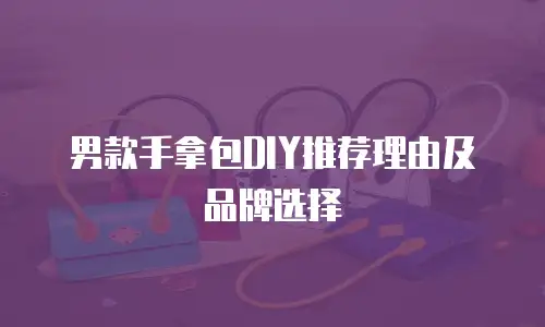 男款手拿包DIY推荐理由及品牌选择