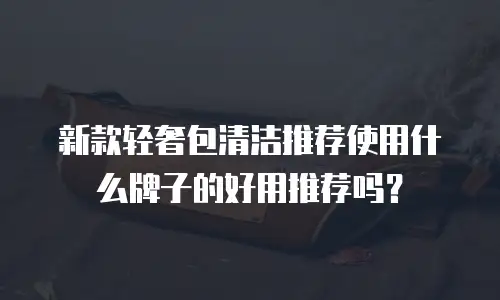 新款轻奢包清洁推荐使用什么牌子的好用推荐吗？