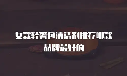 女款轻奢包清洁剂推荐哪款品牌最好的