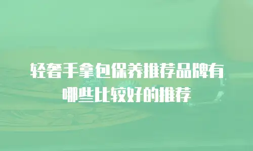 轻奢手拿包保养推荐品牌有哪些比较好的推荐