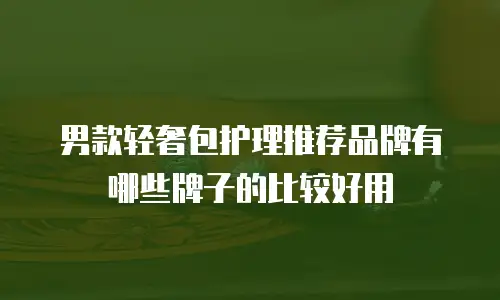 男款轻奢包护理推荐品牌有哪些牌子的比较好用
