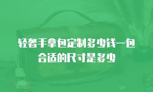 轻奢手拿包定制多少钱一包合适的尺寸是多少
