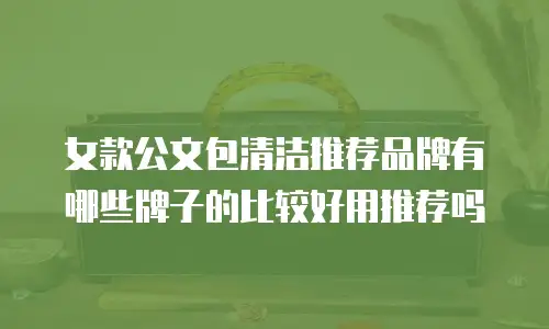 女款公文包清洁推荐品牌有哪些牌子的比较好用推荐吗
