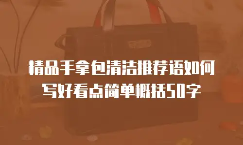 精品手拿包清洁推荐语如何写好看点简单概括50字