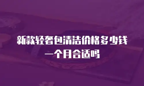 新款轻奢包清洁价格多少钱一个月合适吗