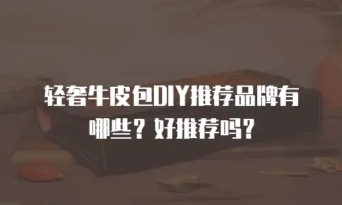 轻奢牛皮包DIY推荐品牌有哪些？好推荐吗？