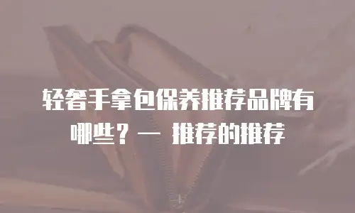 轻奢手拿包保养推荐品牌有哪些？— 推荐的推荐