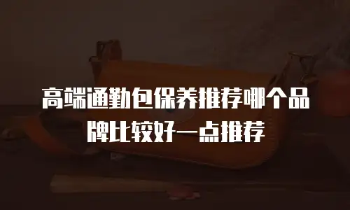 高端通勤包保养推荐哪个品牌比较好一点推荐