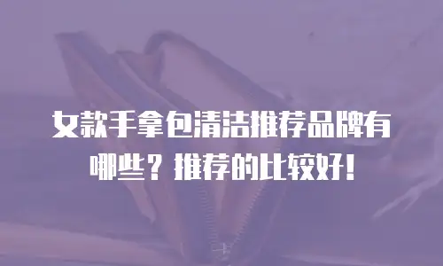 女款手拿包清洁推荐品牌有哪些？推荐的比较好！