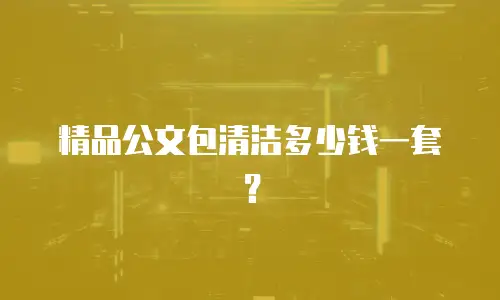 精品公文包清洁多少钱一套？