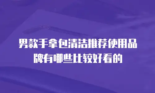 男款手拿包清洁推荐使用品牌有哪些比较好看的