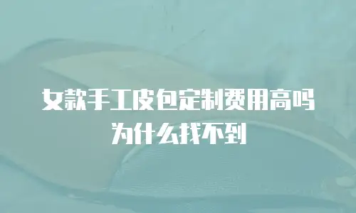 女款手工皮包定制费用高吗为什么找不到