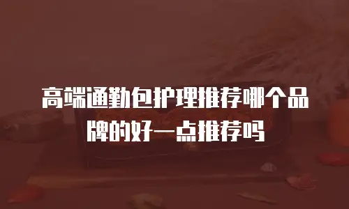 高端通勤包护理推荐哪个品牌的好一点推荐吗