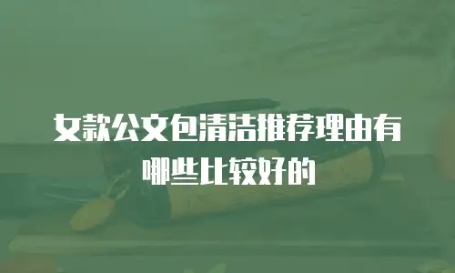 女款公文包清洁推荐理由有哪些比较好的