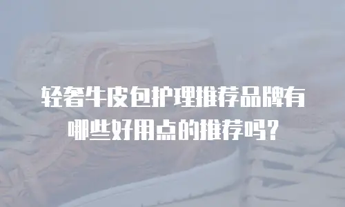 轻奢牛皮包护理推荐品牌有哪些好用点的推荐吗？