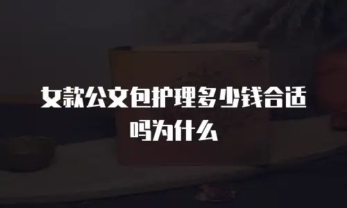 女款公文包护理多少钱合适吗为什么