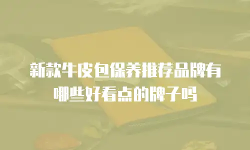新款牛皮包保养推荐品牌有哪些好看点的牌子吗