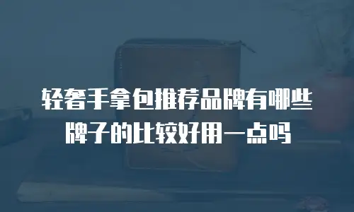 轻奢手拿包推荐品牌有哪些牌子的比较好用一点吗