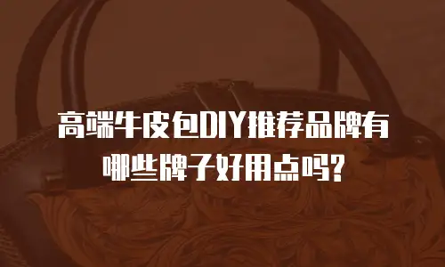 高端牛皮包DIY推荐品牌有哪些牌子好用点吗?