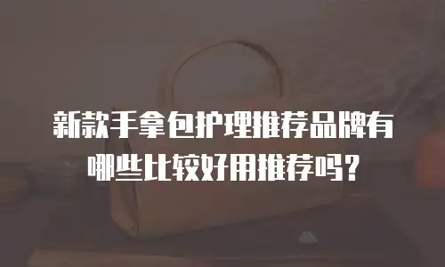 新款手拿包护理推荐品牌有哪些比较好用推荐吗？