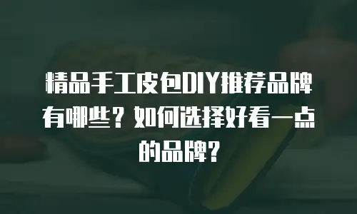 精品手工皮包DIY推荐品牌有哪些？如何选择好看一点的品牌？