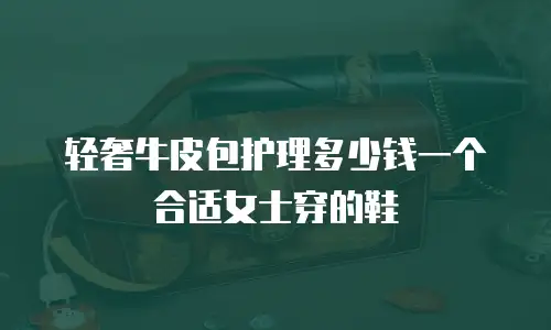 轻奢牛皮包护理多少钱一个合适女士穿的鞋
