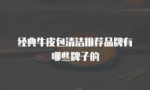 经典牛皮包清洁推荐品牌有哪些牌子的