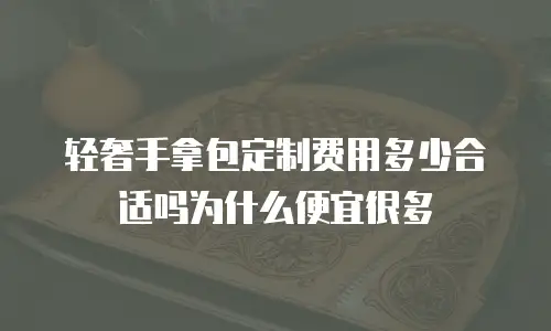 轻奢手拿包定制费用多少合适吗为什么便宜很多