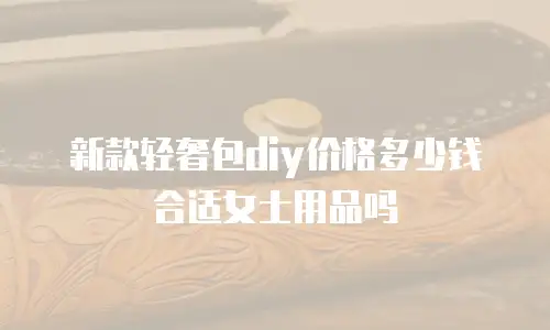新款轻奢包diy价格多少钱合适女士用品吗