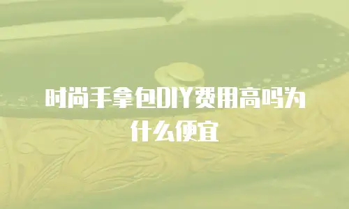 时尚手拿包DIY费用高吗为什么便宜