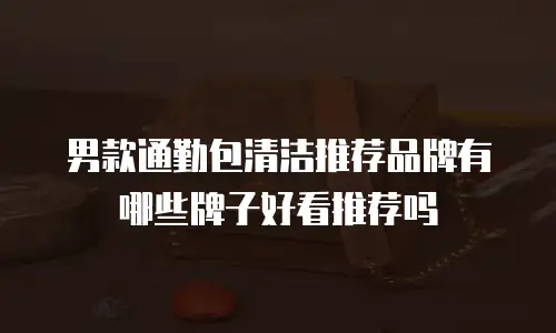 男款通勤包清洁推荐品牌有哪些牌子好看推荐吗