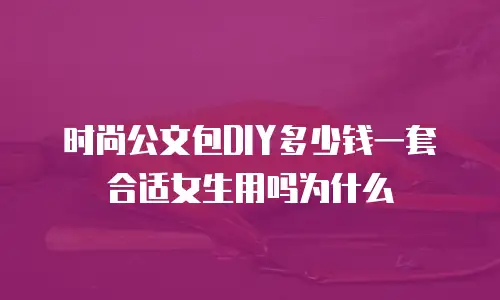 时尚公文包DIY多少钱一套合适女生用吗为什么