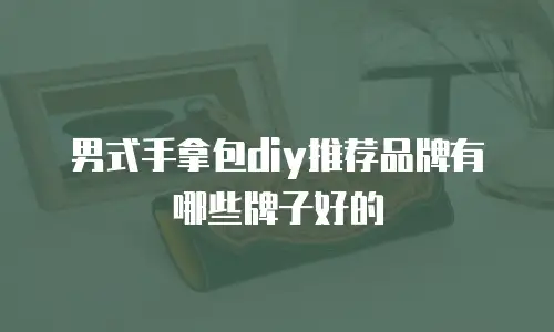 男式手拿包diy推荐品牌有哪些牌子好的