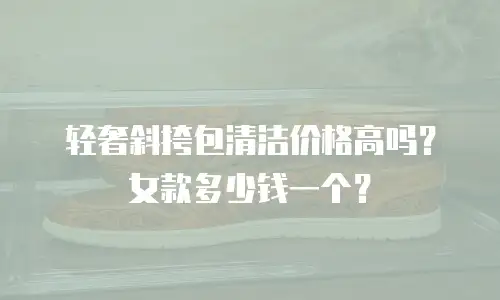 轻奢斜挎包清洁价格高吗？女款多少钱一个？