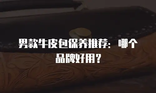 男款牛皮包保养推荐：哪个品牌好用？