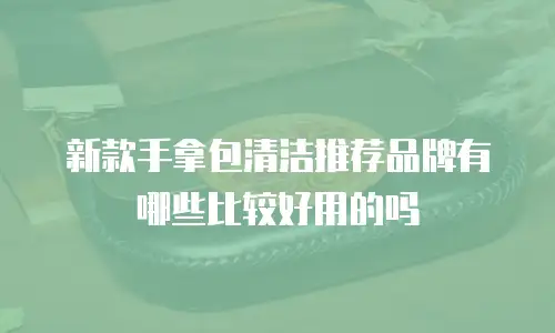 新款手拿包清洁推荐品牌有哪些比较好用的吗