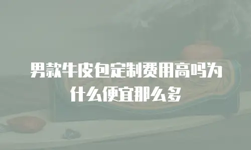 男款牛皮包定制费用高吗为什么便宜那么多