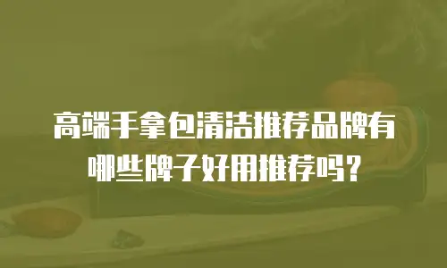 高端手拿包清洁推荐品牌有哪些牌子好用推荐吗？