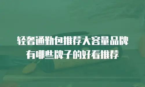 轻奢通勤包推荐大容量品牌有哪些牌子的好看推荐