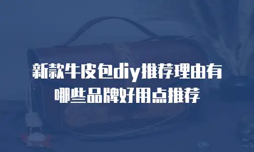 新款牛皮包diy推荐理由有哪些品牌好用点推荐