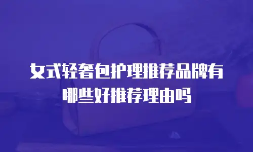 女式轻奢包护理推荐品牌有哪些好推荐理由吗
